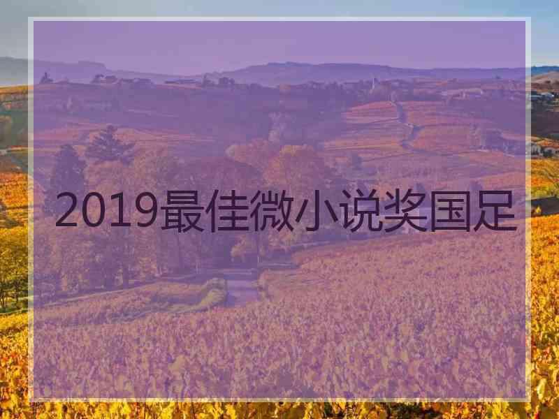 2019最佳微小说奖国足