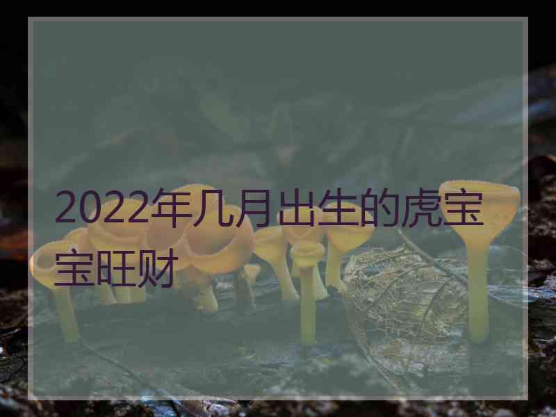 2022年几月出生的虎宝宝旺财