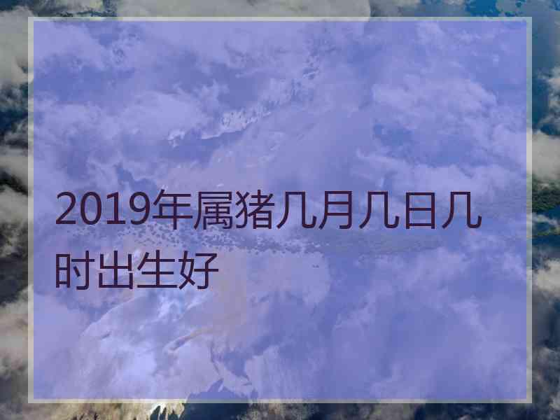 2019年属猪几月几日几时出生好