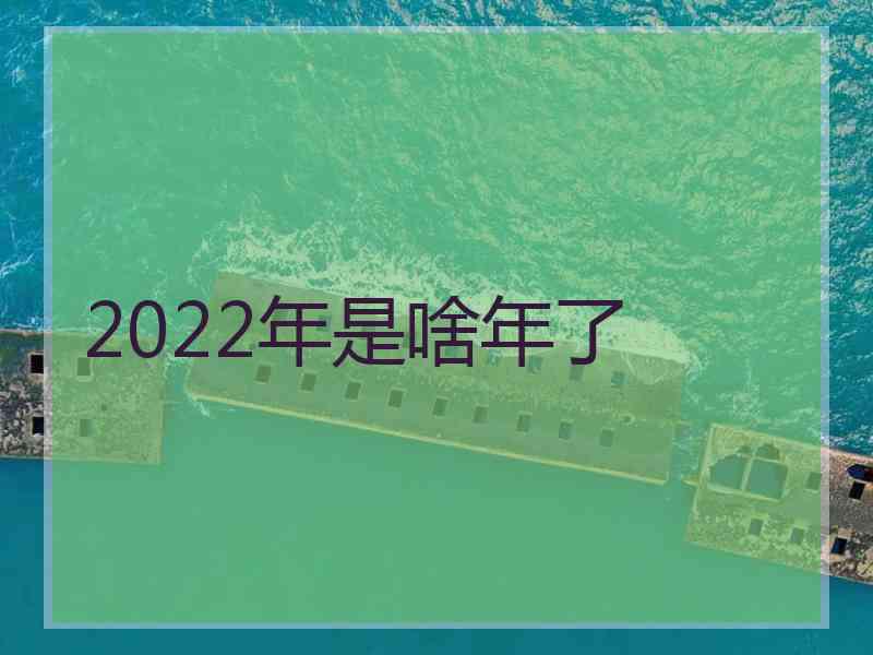 2022年是啥年了