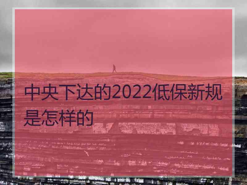 中央下达的2022低保新规是怎样的