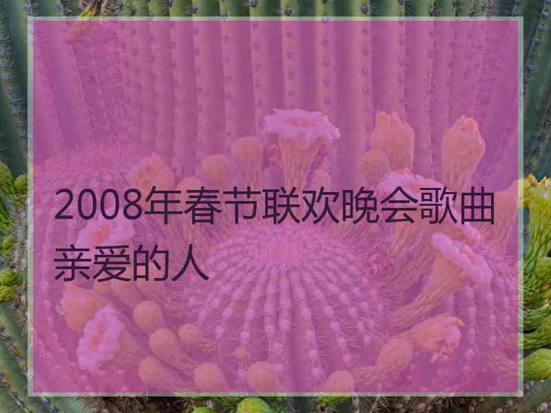 2008年春节联欢晚会歌曲亲爱的人