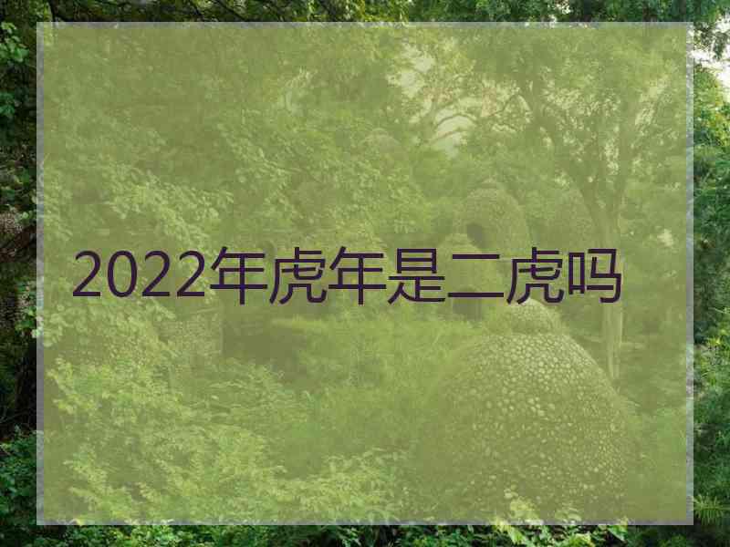 2022年虎年是二虎吗