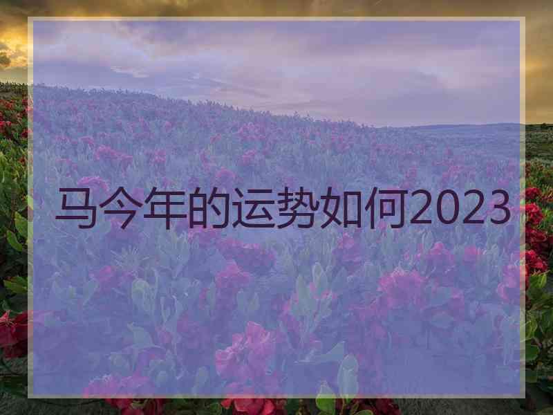 马今年的运势如何2023