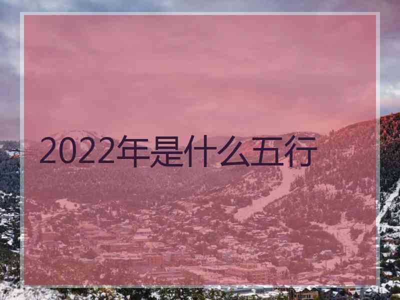 2022年是什么五行