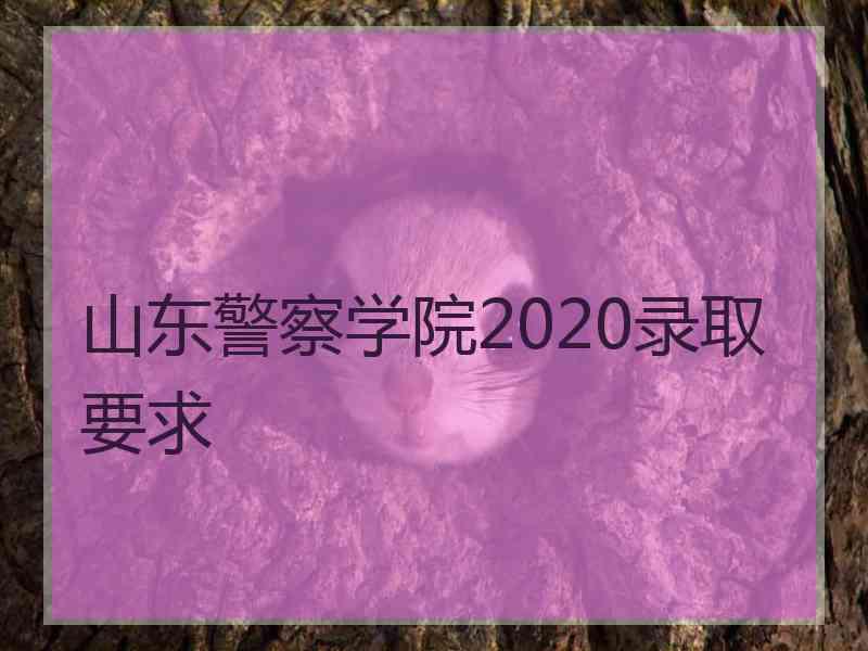 山东警察学院2020录取要求