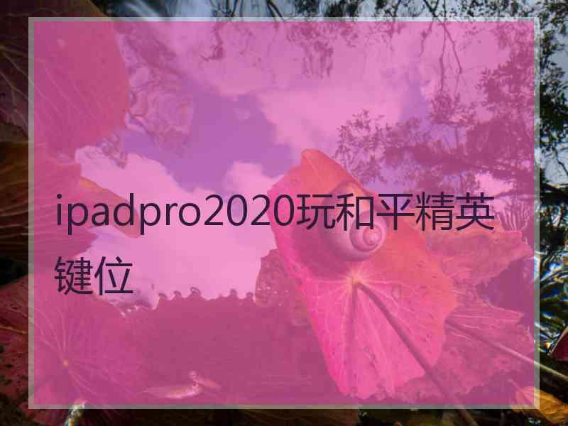 ipadpro2020玩和平精英键位