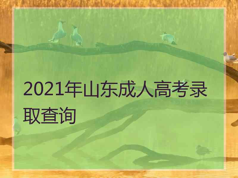 2021年山东成人高考录取查询