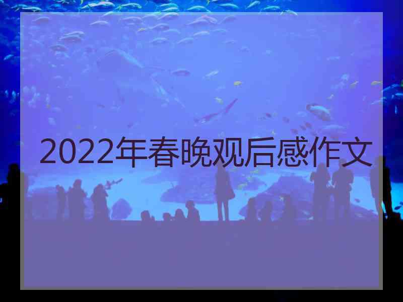 2022年春晚观后感作文