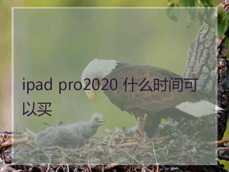 ipad pro2020 什么时间可以买