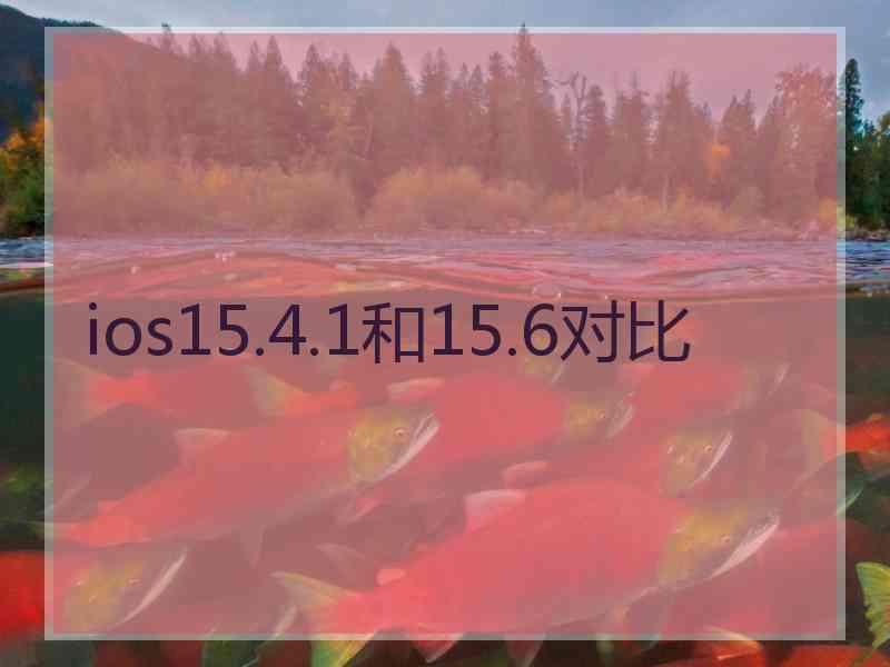 ios15.4.1和15.6对比