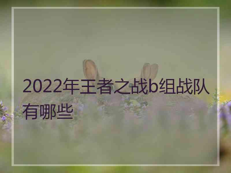 2022年王者之战b组战队有哪些