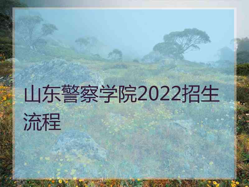 山东警察学院2022招生流程