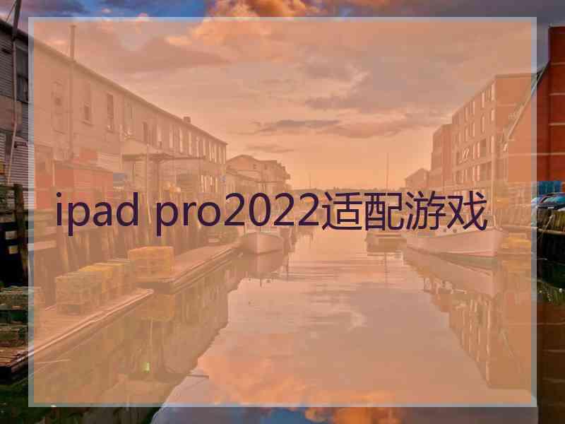 ipad pro2022适配游戏