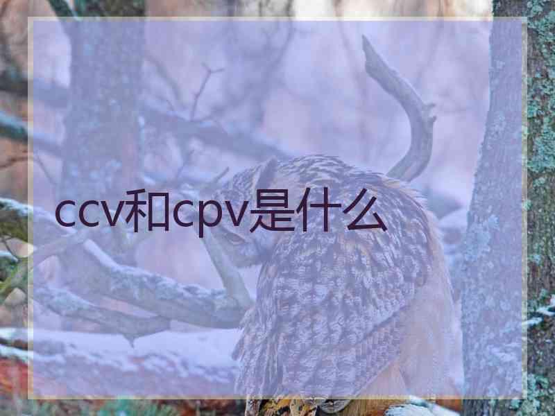 ccv和cpv是什么