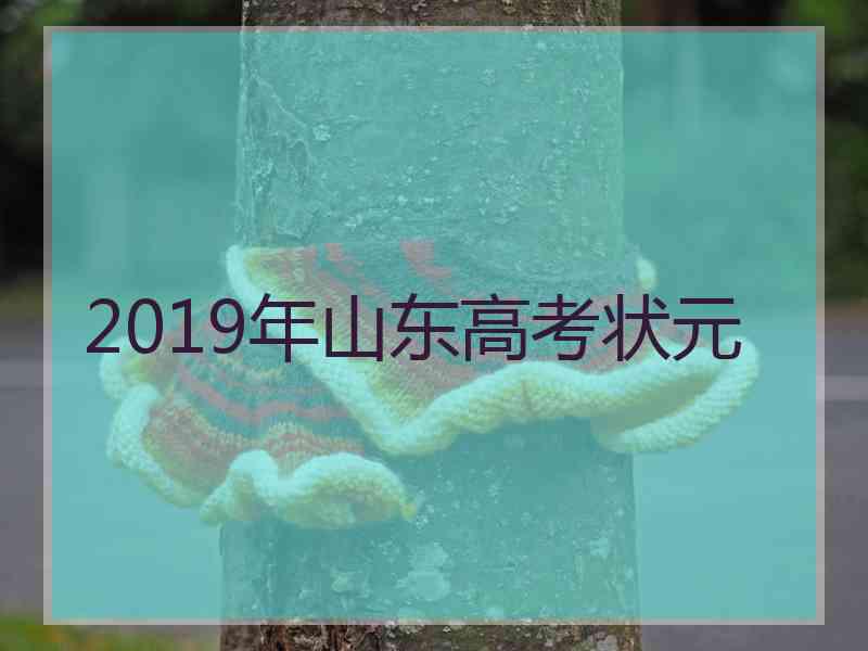 2019年山东高考状元