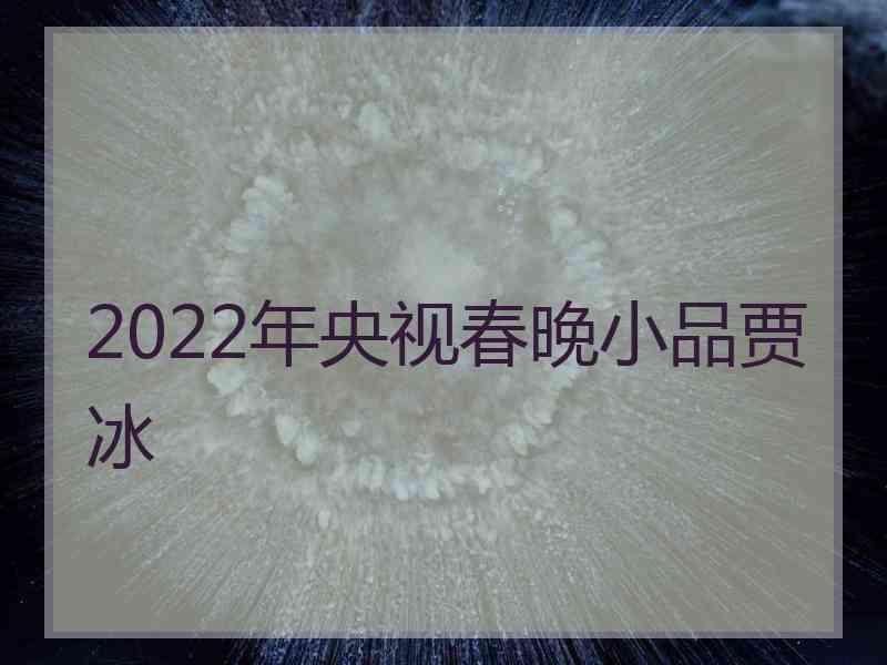 2022年央视春晚小品贾冰