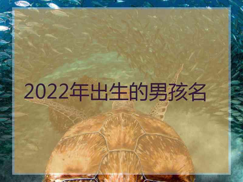 2022年出生的男孩名