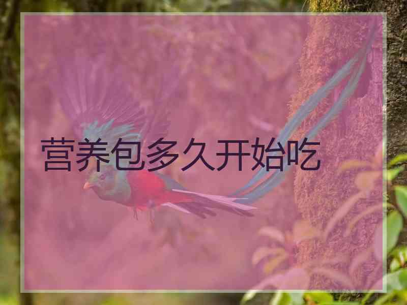 营养包多久开始吃