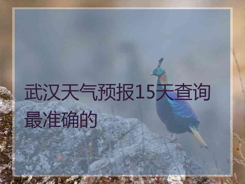 武汉天气预报15天查询最准确的