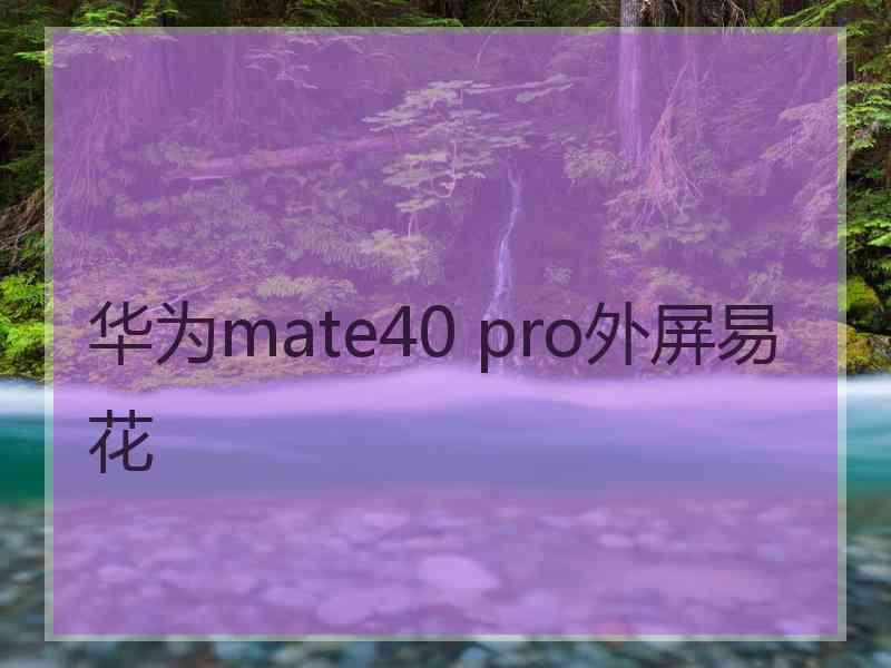 华为mate40 pro外屏易花