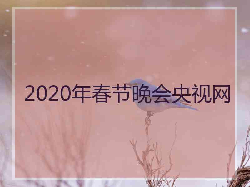 2020年春节晚会央视网