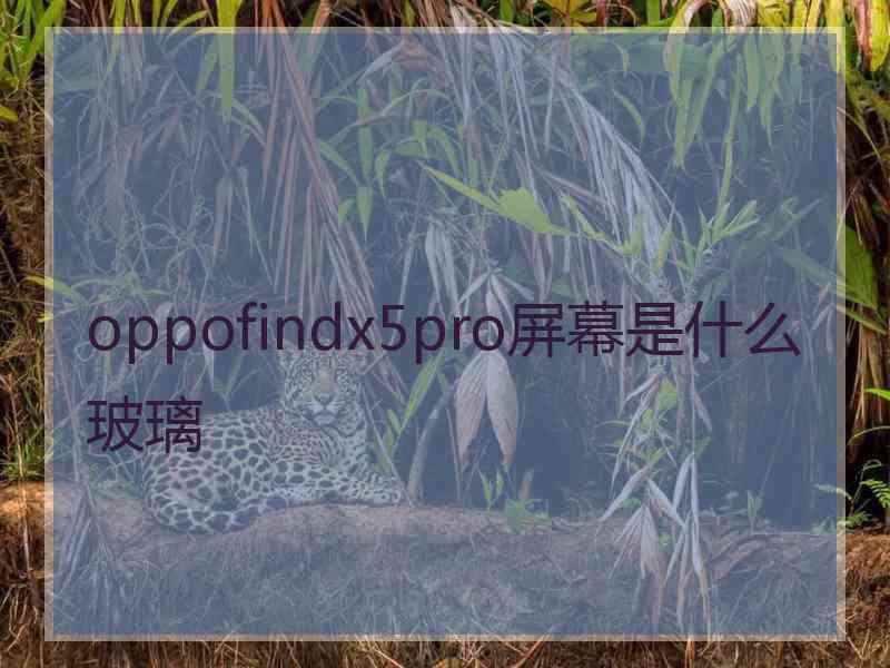 oppofindx5pro屏幕是什么玻璃