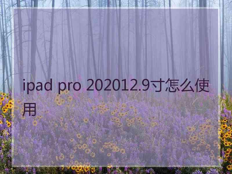 ipad pro 202012.9寸怎么使用