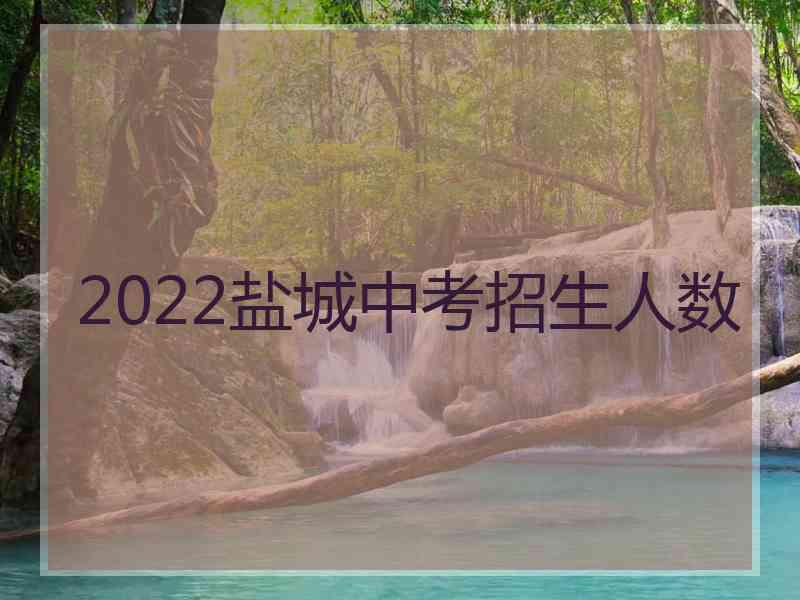 2022盐城中考招生人数