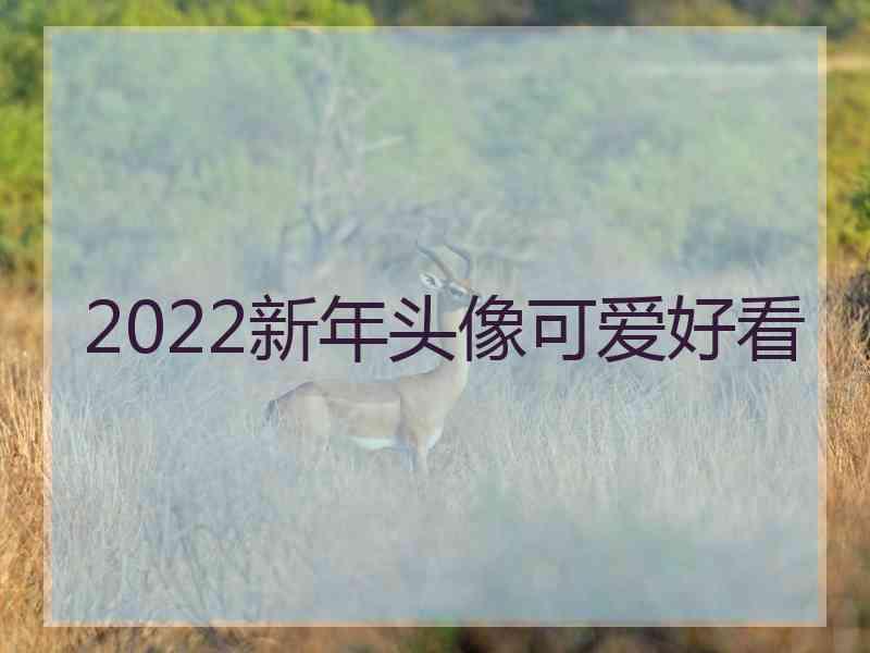 2022新年头像可爱好看