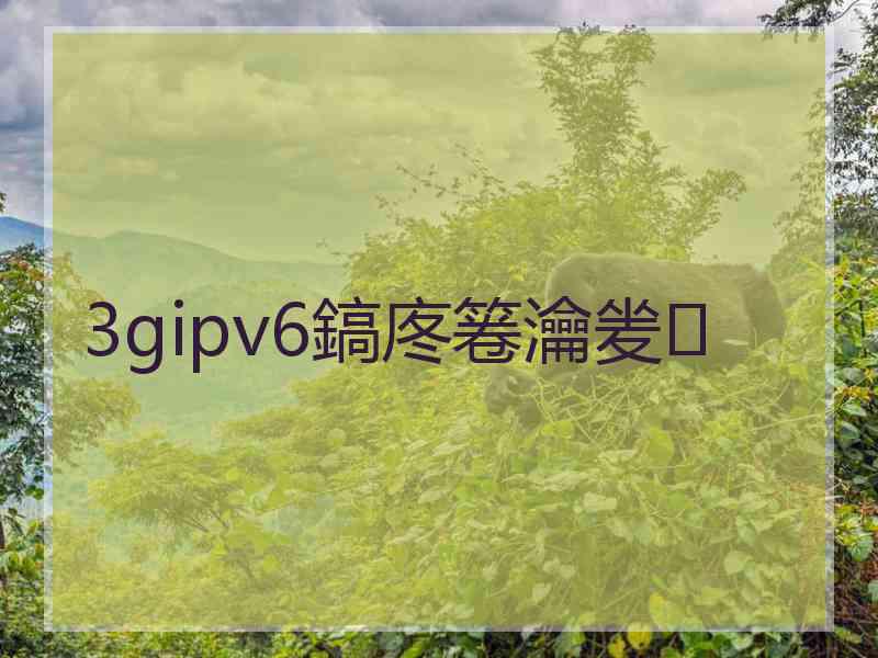 3gipv6鎬庝箞瀹夎