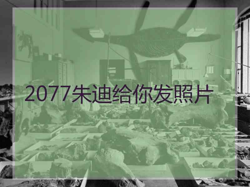 2077朱迪给你发照片