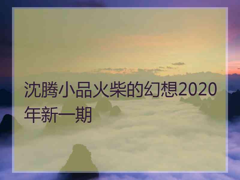 沈腾小品火柴的幻想2020年新一期