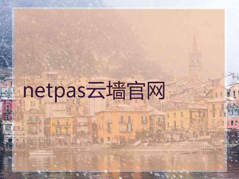 netpas云墙官网