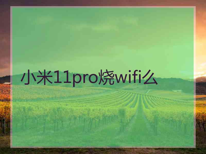 小米11pro烧wifi么