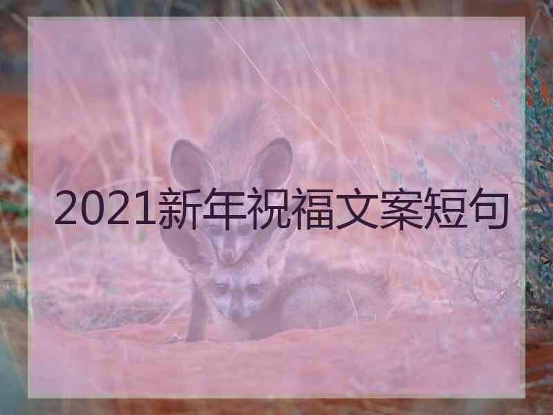 2021新年祝福文案短句