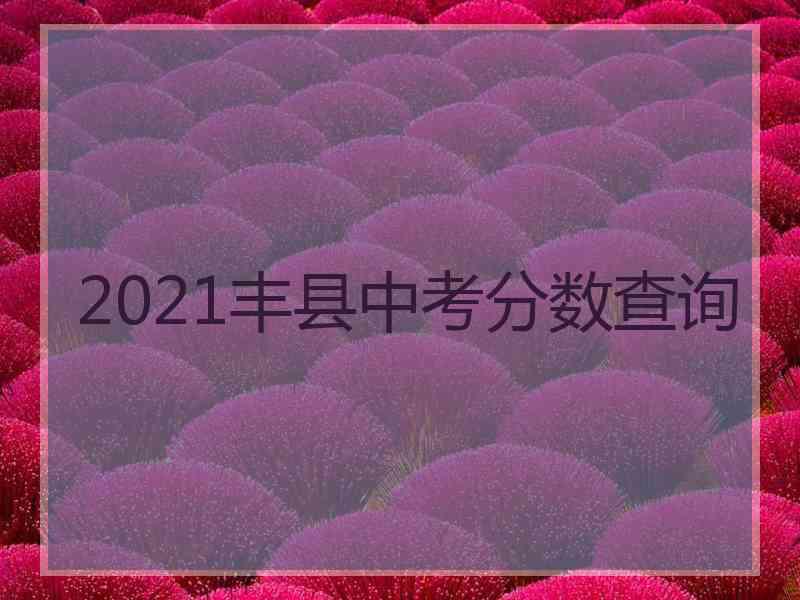 2021丰县中考分数查询