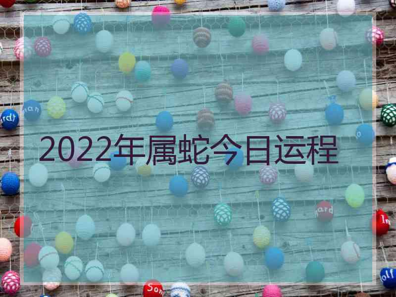 2022年属蛇今日运程