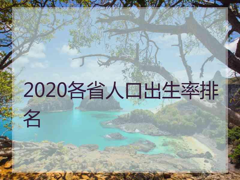 2020各省人口出生率排名