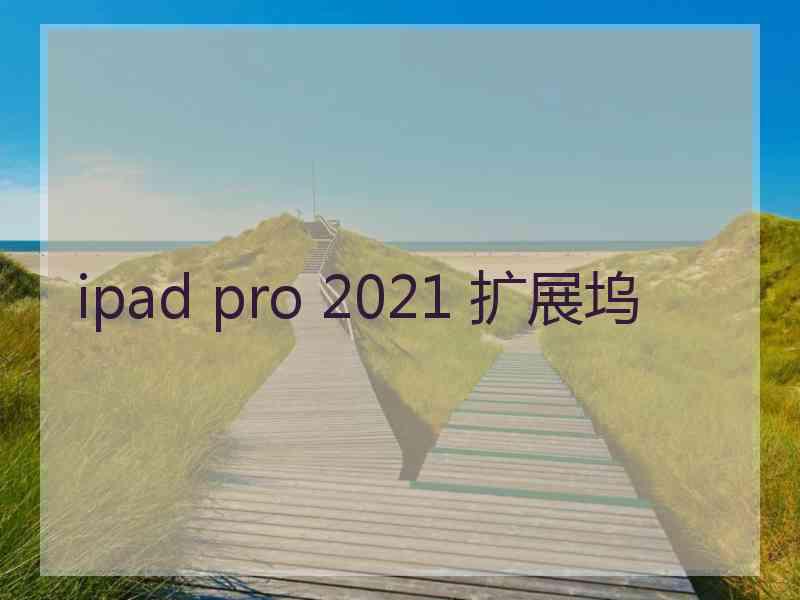 ipad pro 2021 扩展坞