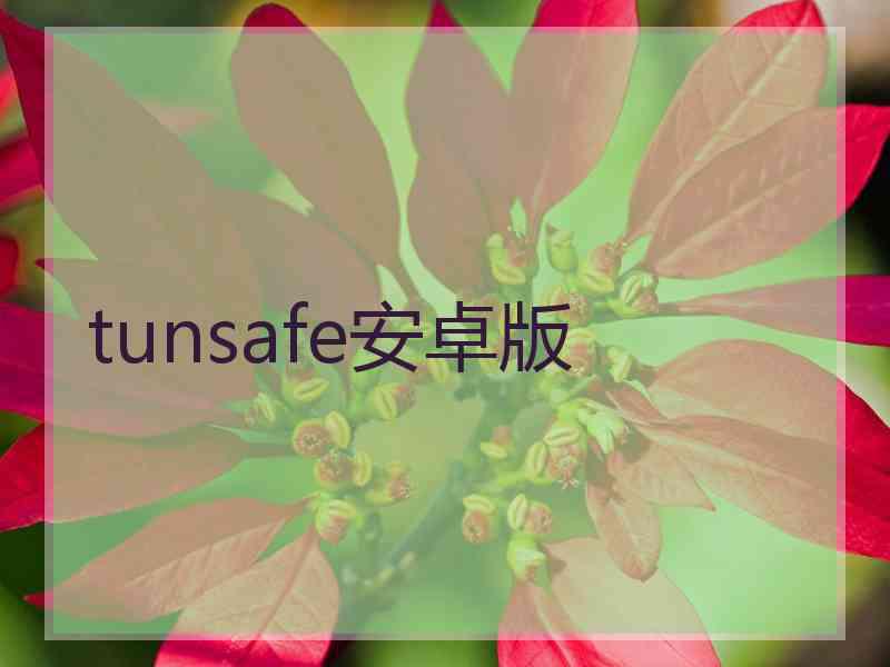 tunsafe安卓版