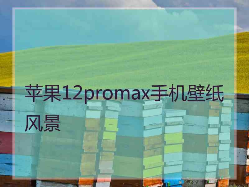 苹果12promax手机壁纸风景