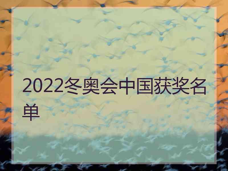 2022冬奥会中国获奖名单