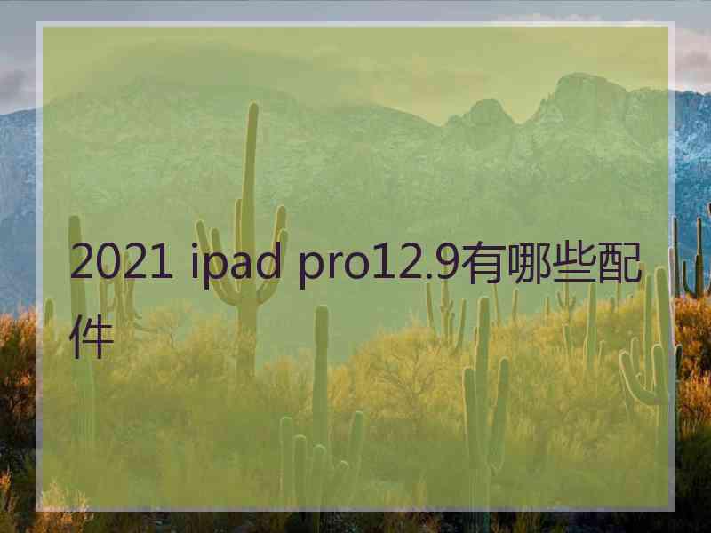 2021 ipad pro12.9有哪些配件