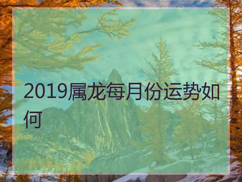 2019属龙每月份运势如何