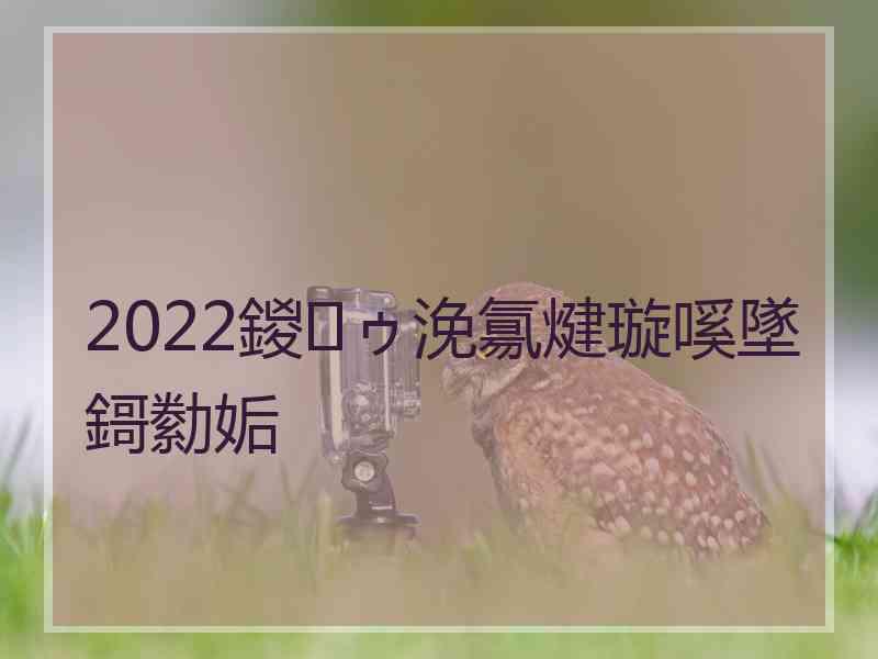 2022鍐ゥ浼氱煡璇嗘墜鎶勬姤