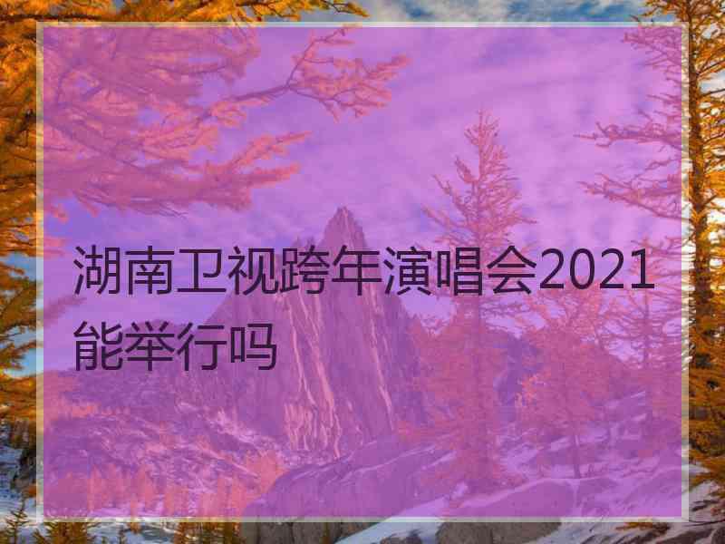 湖南卫视跨年演唱会2021能举行吗