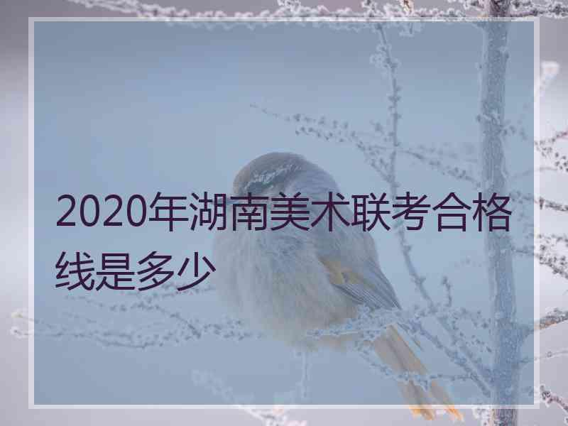 2020年湖南美术联考合格线是多少