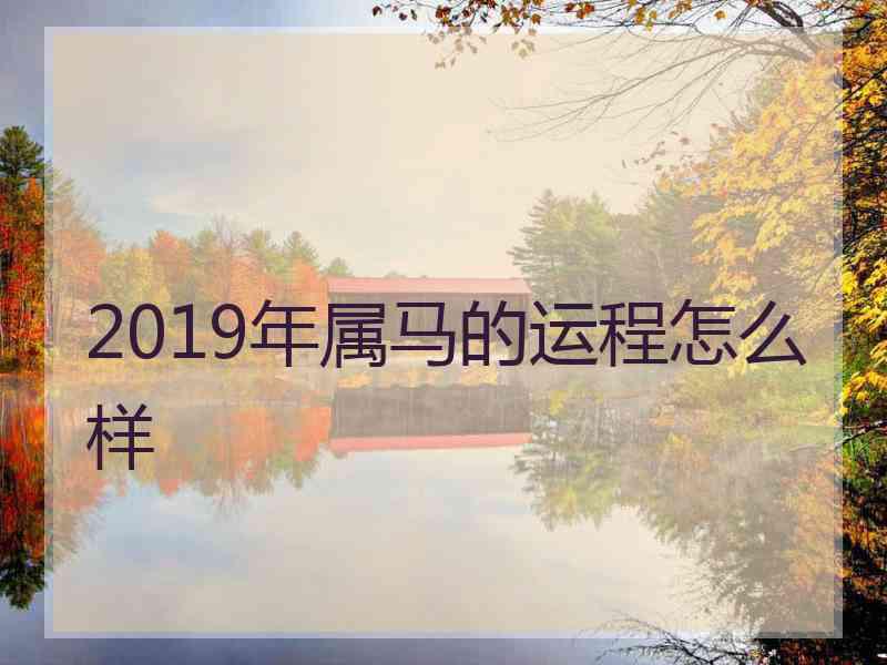 2019年属马的运程怎么样