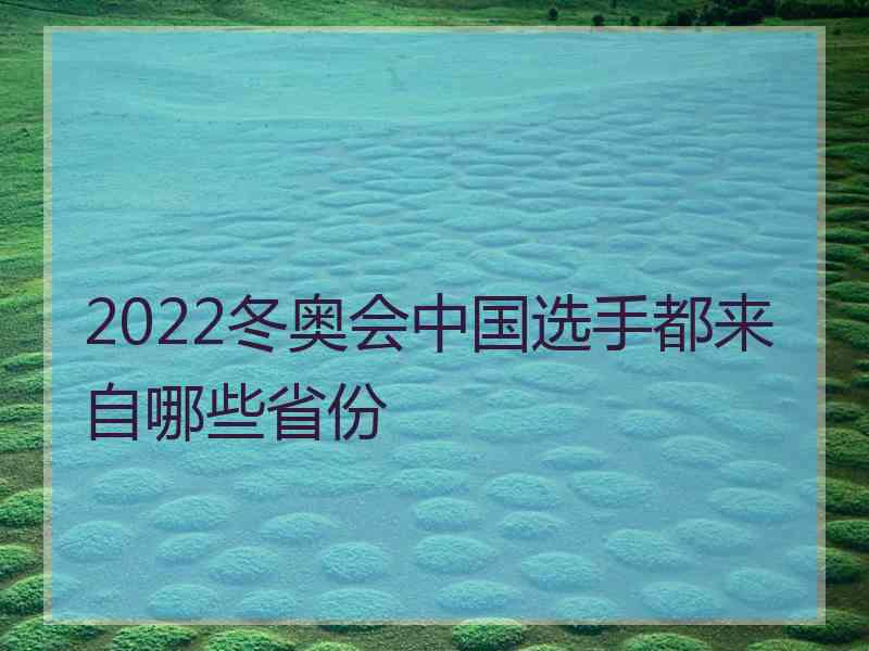 2022冬奥会中国选手都来自哪些省份